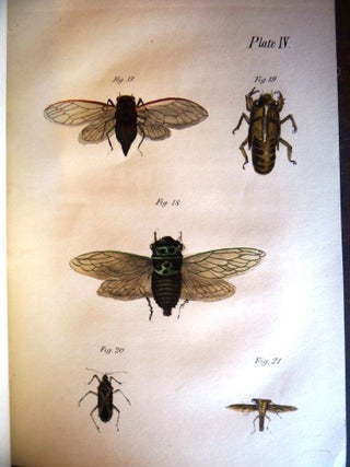 The Life of North American Insects, ILLUSTRATED by Numerous Colored Engravings and Narratives.