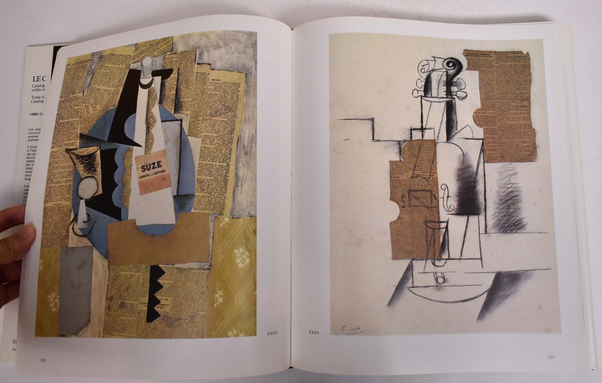 Le cubisme de Picasso: Catalogue Raisonné de l'Oeuvre Peint, 1907