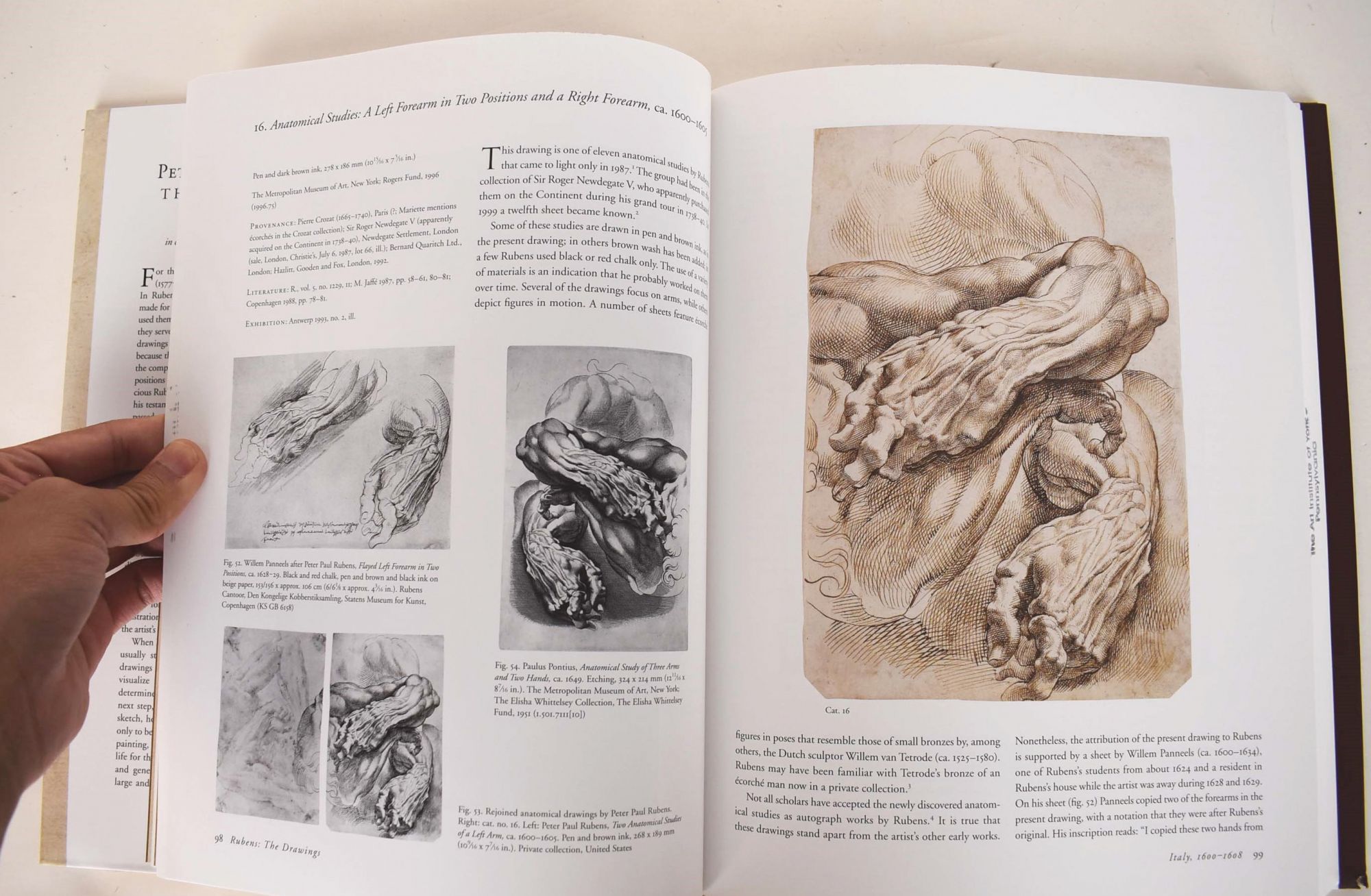 Peter Paul Rubens Drawings: Ecorche Nude Male Study - Fine Art Prints | eBay
