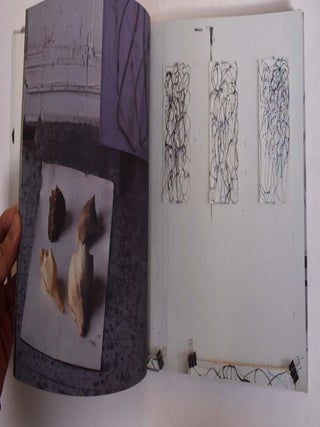 Brice Marden: Paintings, Drawings, Etchings