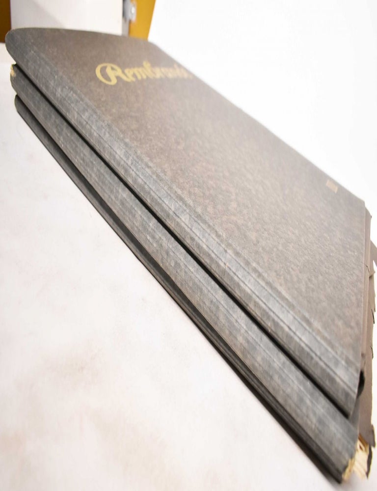 Item #114287 Complete Etchings of Rembrandt, With Authentic Copies, 3 Volumes. H. W. Singer, Jaro Springer.