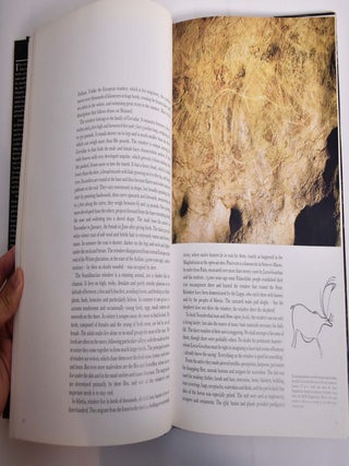 The Cave of Lascaux: The Final Photographs