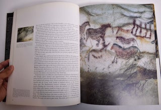 The Cave of Lascaux: The Final Photographs