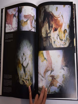 The Cave of Lascaux: The Final Photographs