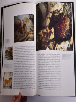 The Cave of Lascaux: The Final Photographs