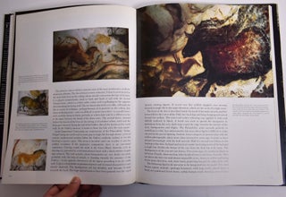 The Cave of Lascaux: The Final Photographs