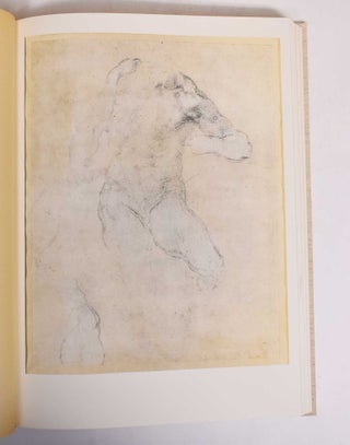 Drawings of Michelangelo: 103 Drawings in Facsimile