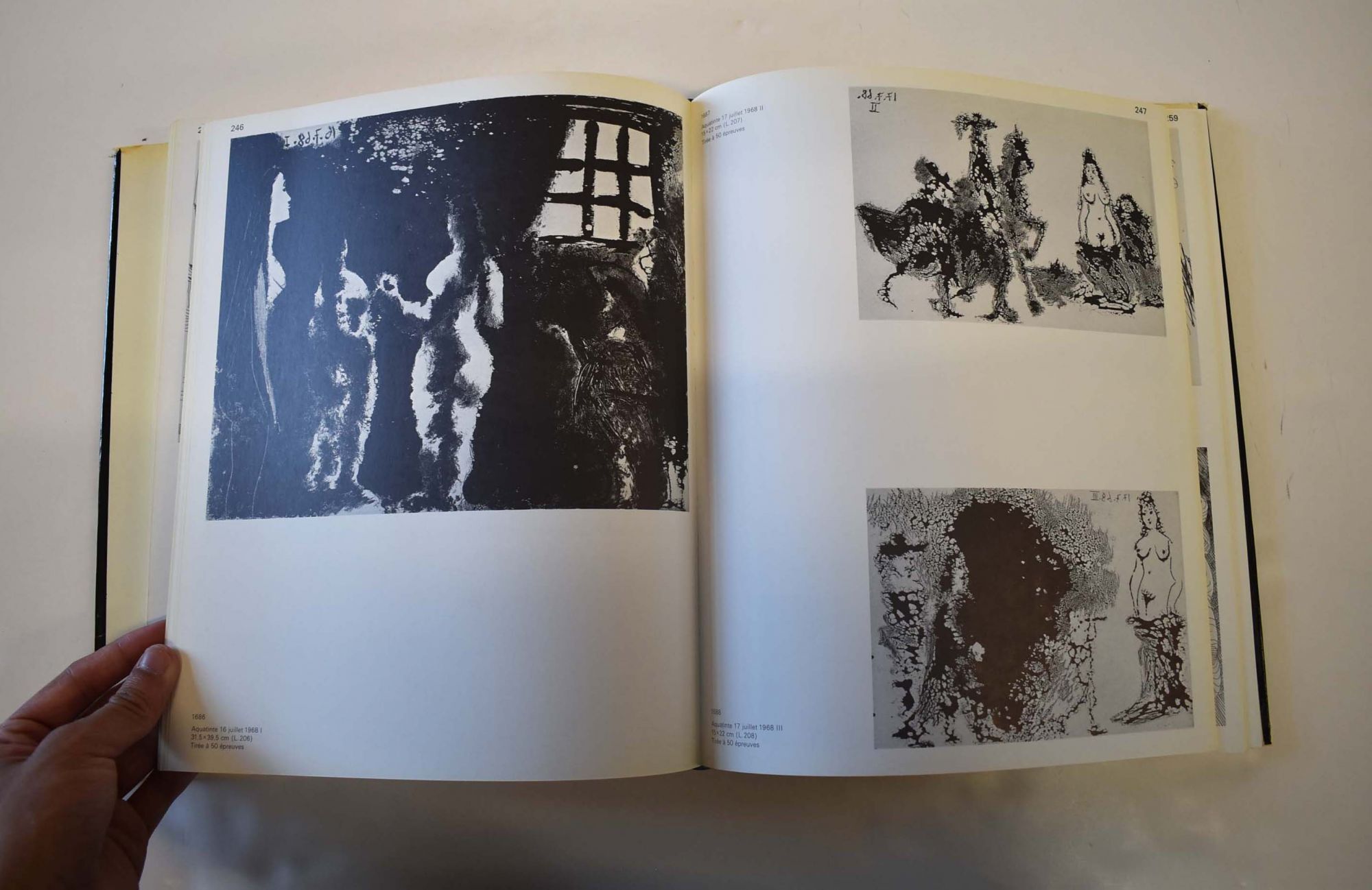 Pablo Picasso: Tome II, Catalogue de l