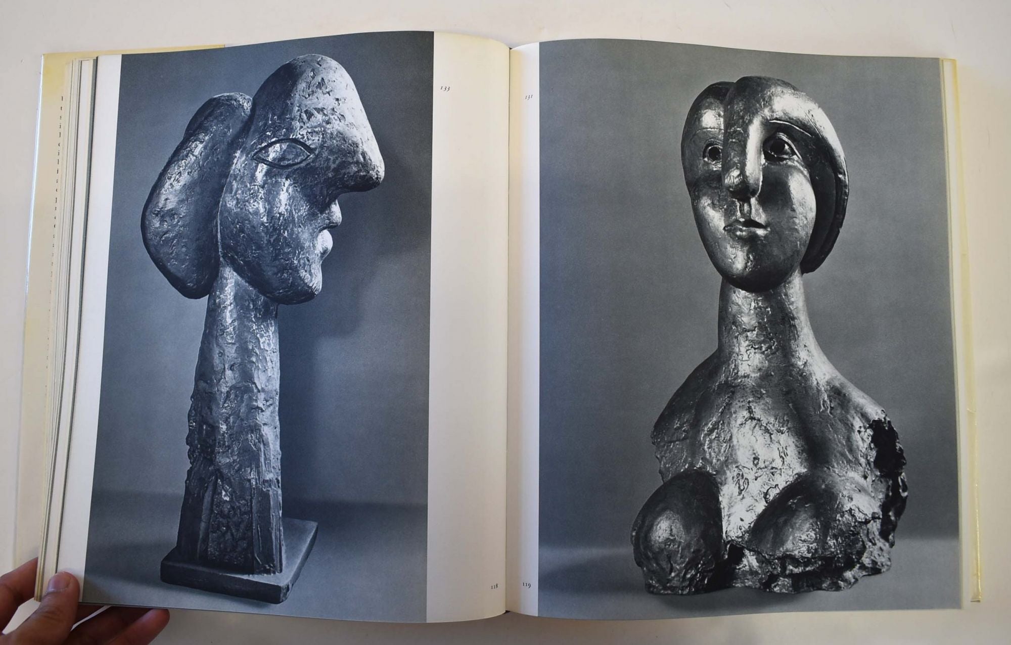 Picasso Sculpture, Books, Product Library