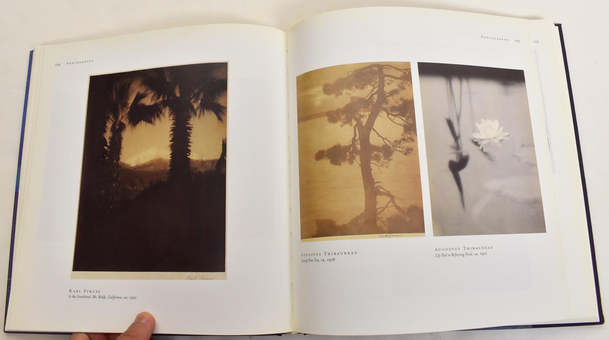 Arthur Wesley Dow and American Arts・洋書 Arthur Wesley Dow and American Arts & Crafts | Nancy E. Green
