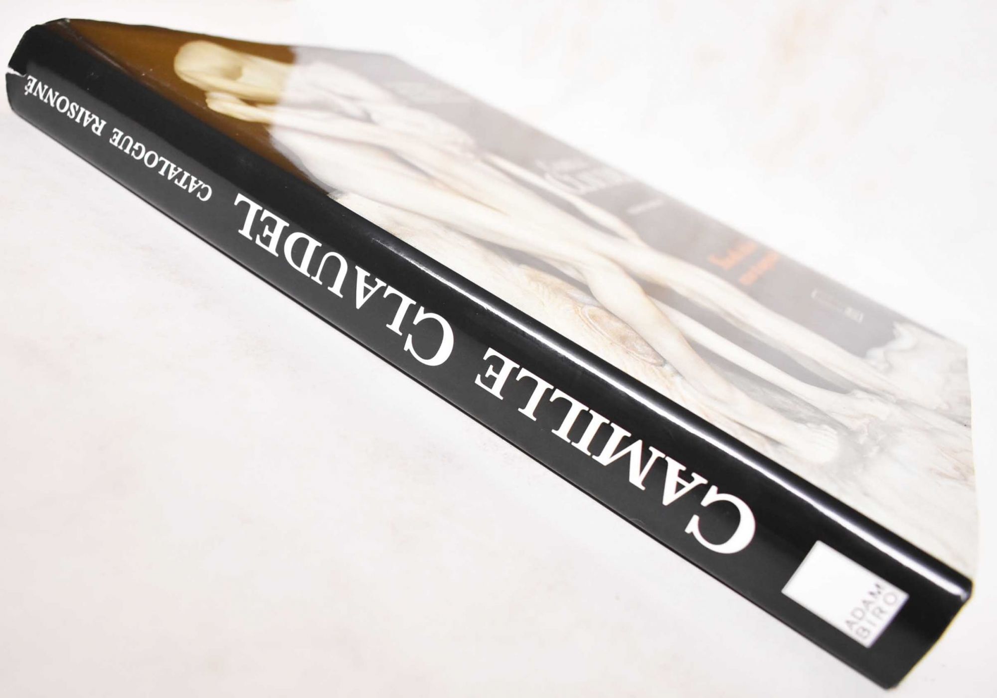 Camille Claudel: Catalogue raisonne French Edition | Anne Riviere