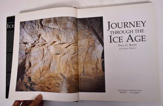 Journey through the Ice Age