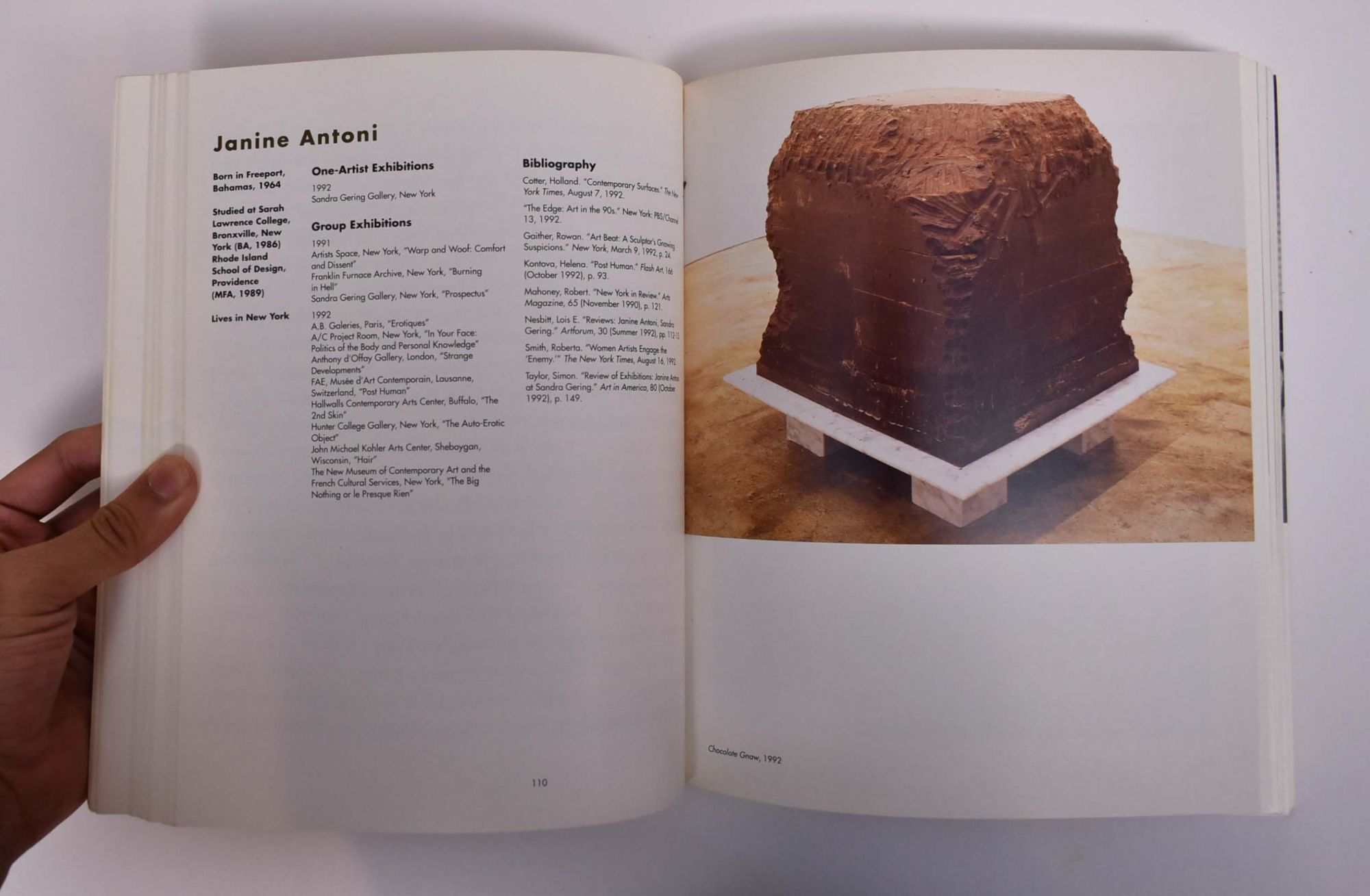 1993 Biennial Exhibition | Elisabeth Sussman