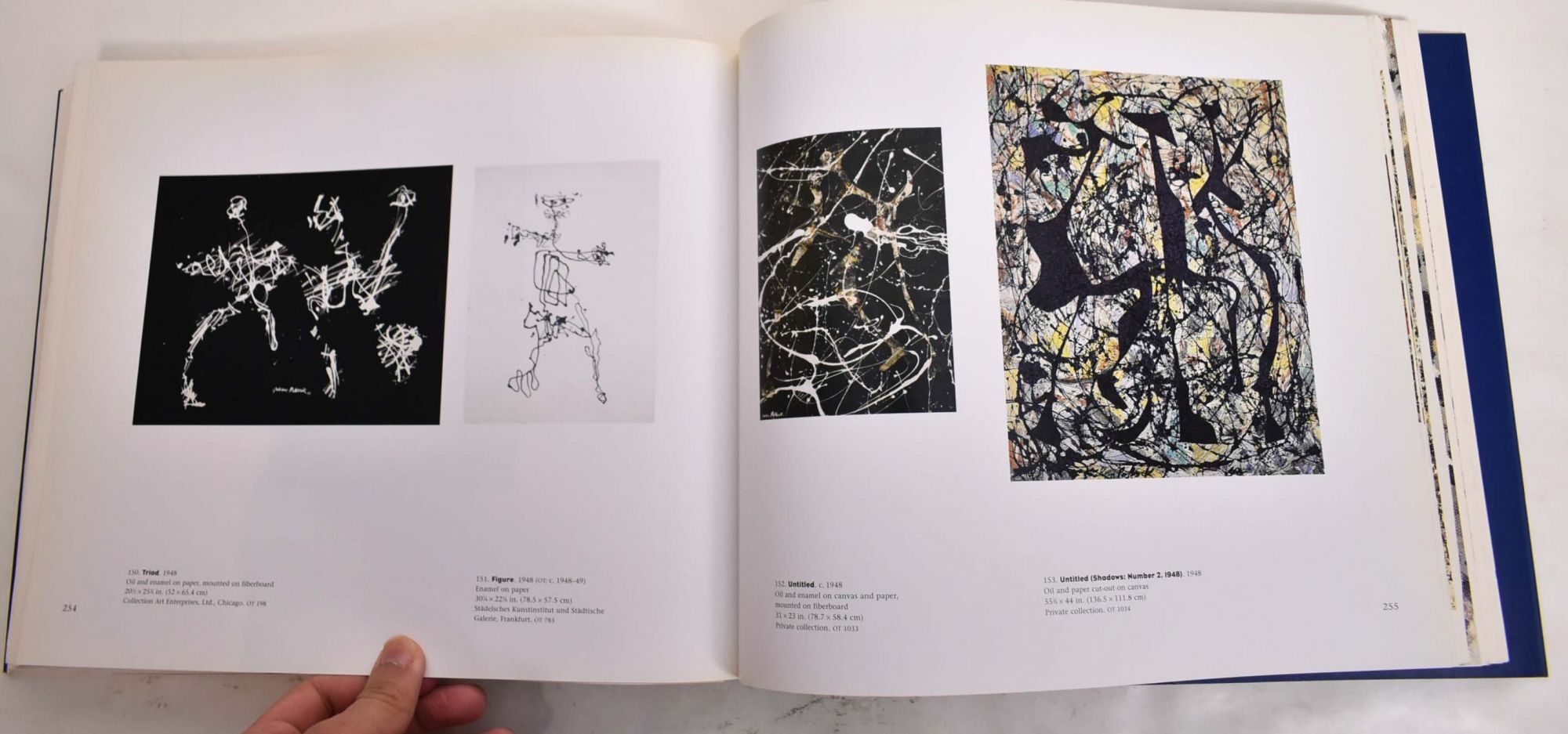 Jackson Pollock 作品集 アートブック Jackson Pollock | Kirk Varnedoe, Pepe Karmel