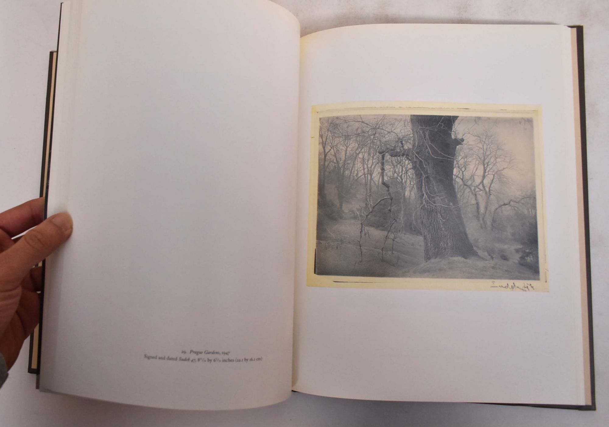 Josef Sudek 1896-1976 : Sixty Pigment Prints from the Artist's