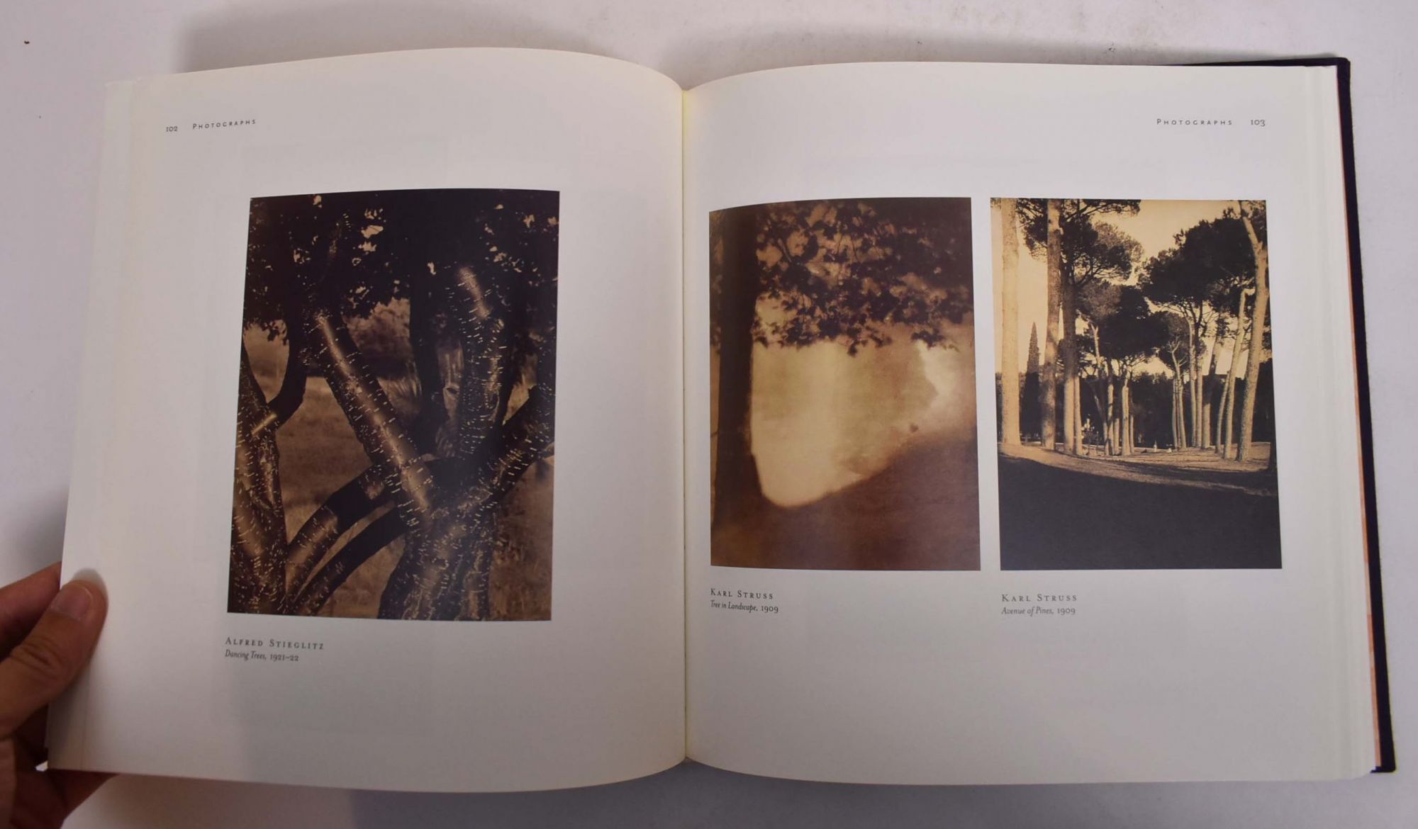 Arthur Wesley Dow and American Arts & Crafts | Nancy E. Green