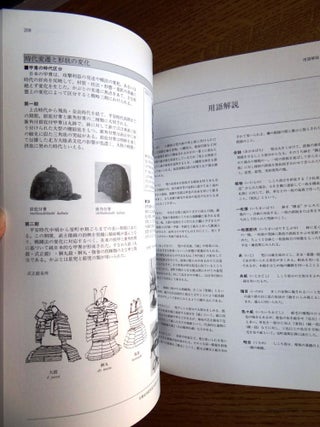 The Cooperative Program for the Conservation of Japanese Art Objects Overseas = Zaigai Nihon kobijutsuhin hozon sh fuku ky ryoku jigy