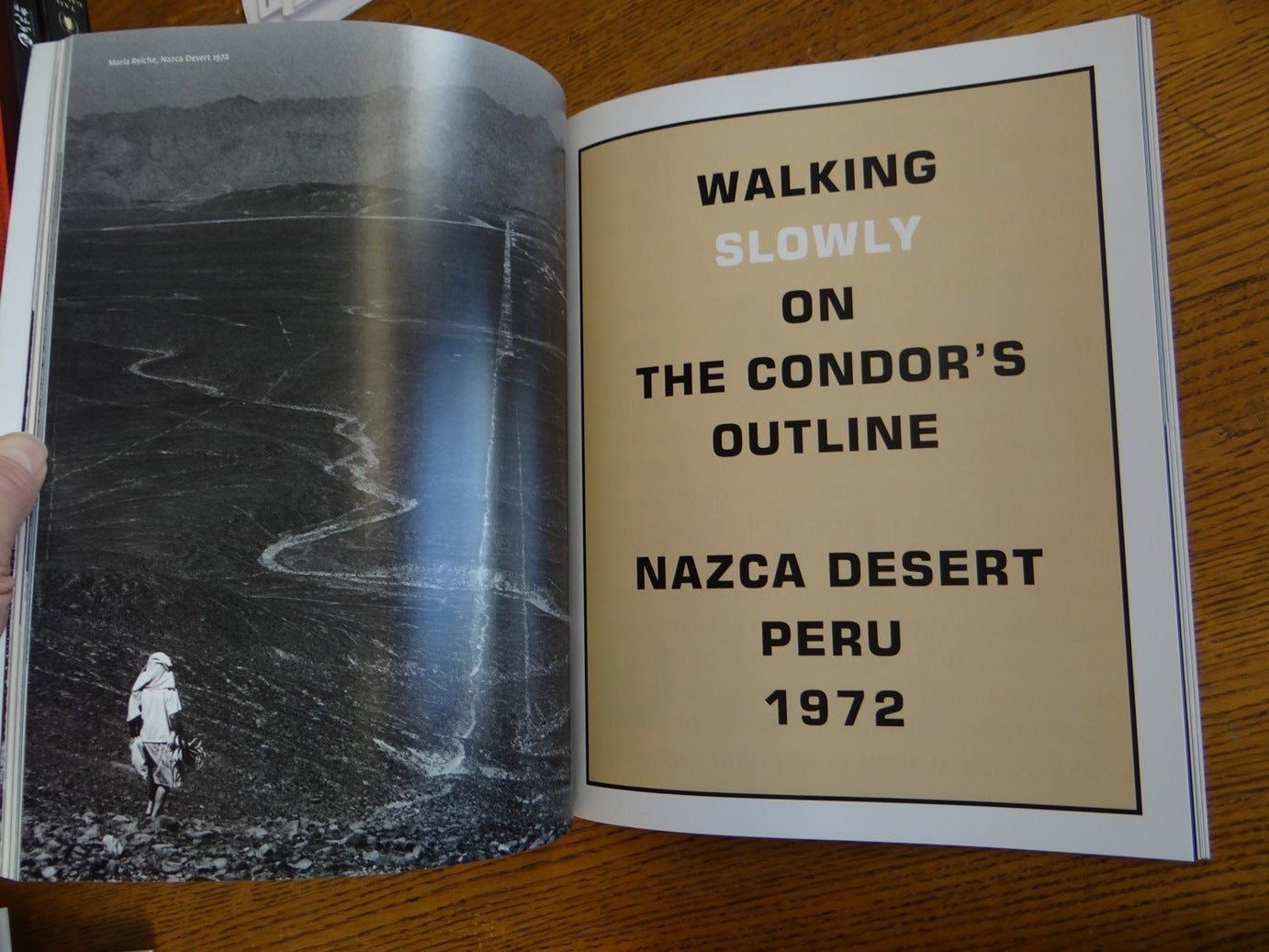 Hamish Fulton: Walking Journey | Ben Tufnell, Andrew Wilson