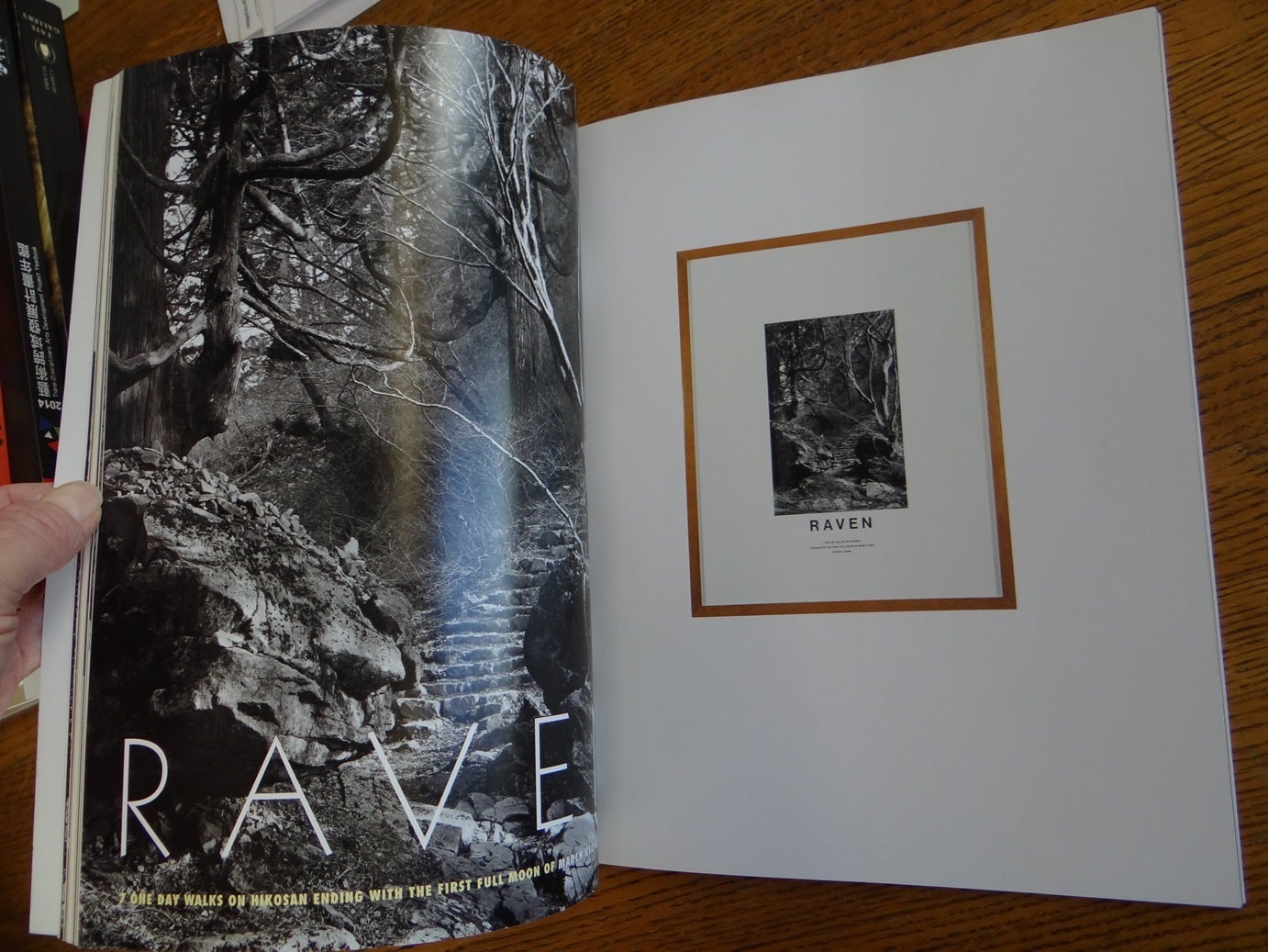 Hamish Fulton: Walking Journey | Ben Tufnell, Andrew Wilson