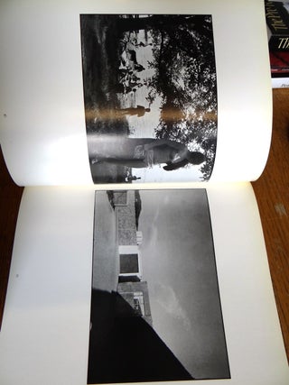 The Snapshot (Aperture, Volume 19, Number 1)