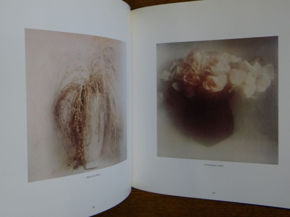 David Hamilton: Homage a la Peinture by Bertrand Levergeois, Luc Getreau on  Mullen Books