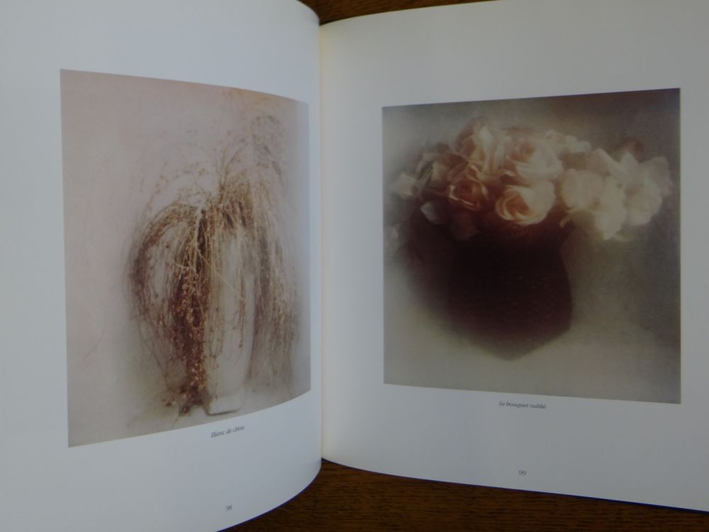 David Hamilton: Homage a la Peinture | Bertrand Levergeois, Luc Getreau
