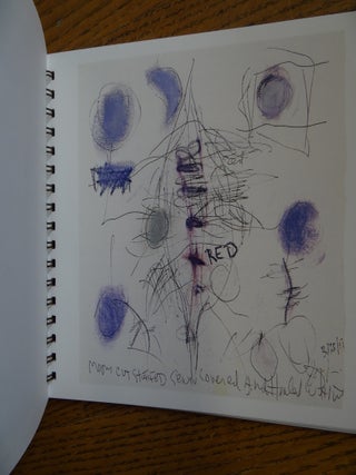 Joan Snyder: Paintings and Sketches