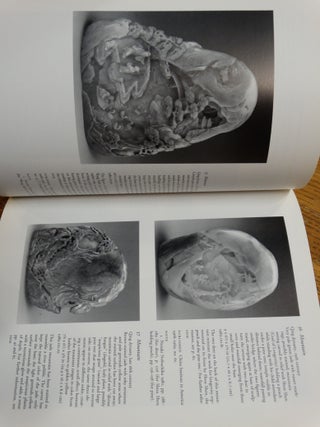 The Crawford Bequest: Chinese Objects in the Collection of the Museum of Art, Rhode Island School of Design