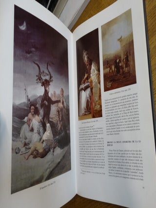 Goya: Catalogo de la Pintura