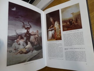 Goya: Catalogo de la Pintura