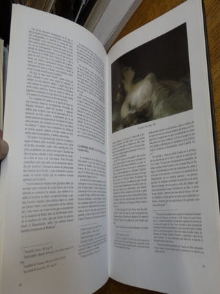Goya: Catalogo de la Pintura