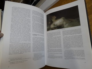 Goya: Catalogo de la Pintura