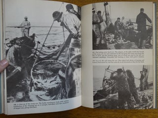 American Fishermen