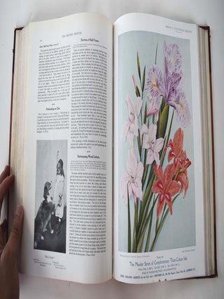 The British Printer Vol. XXI - 1908