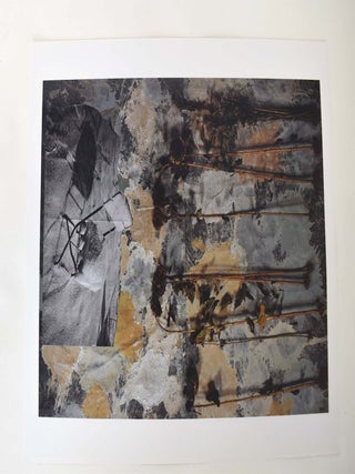 Anselm Kiefer