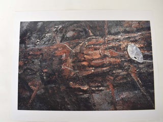 Anselm Kiefer