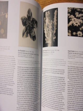 Photography: Art Gallery of New South Wales Collection