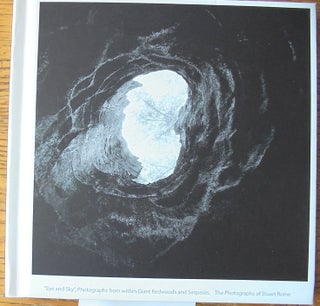 Item #160037 Eye and Sky: Photographs from within Giant Redwoods and Sequoias. Stuart Rome