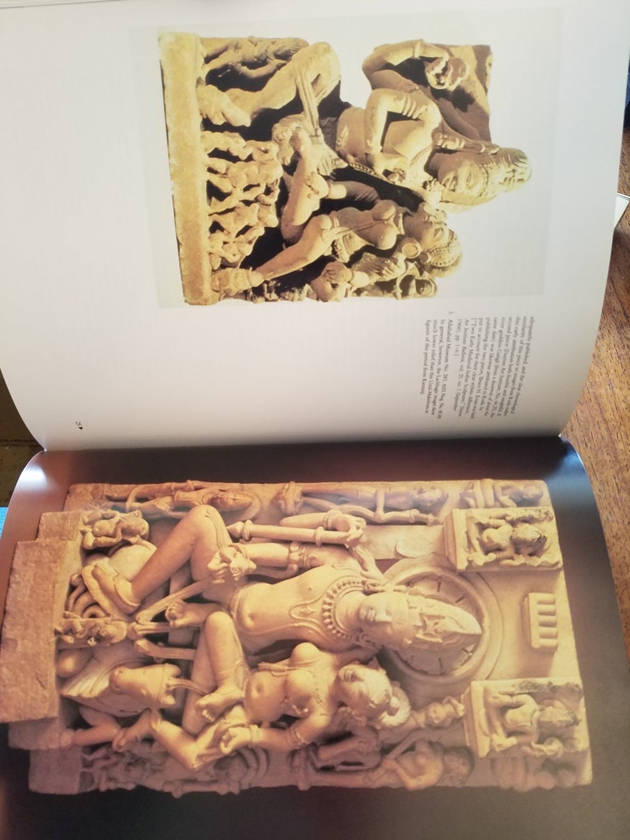 Gods, Guardians, and Lovers: Temple Sculptures from North India A.D.  700-1200 | Vishakha N. Desai, Darielle Mason