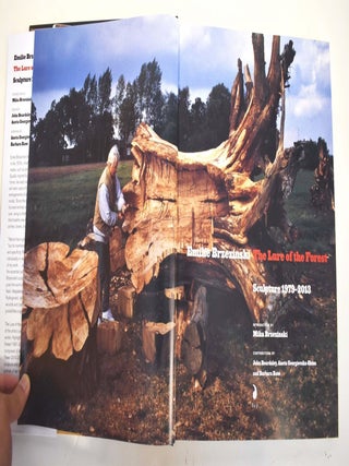 Emilie Brzezinski: The Lure of the Forest: Sculpture, 1979-2013