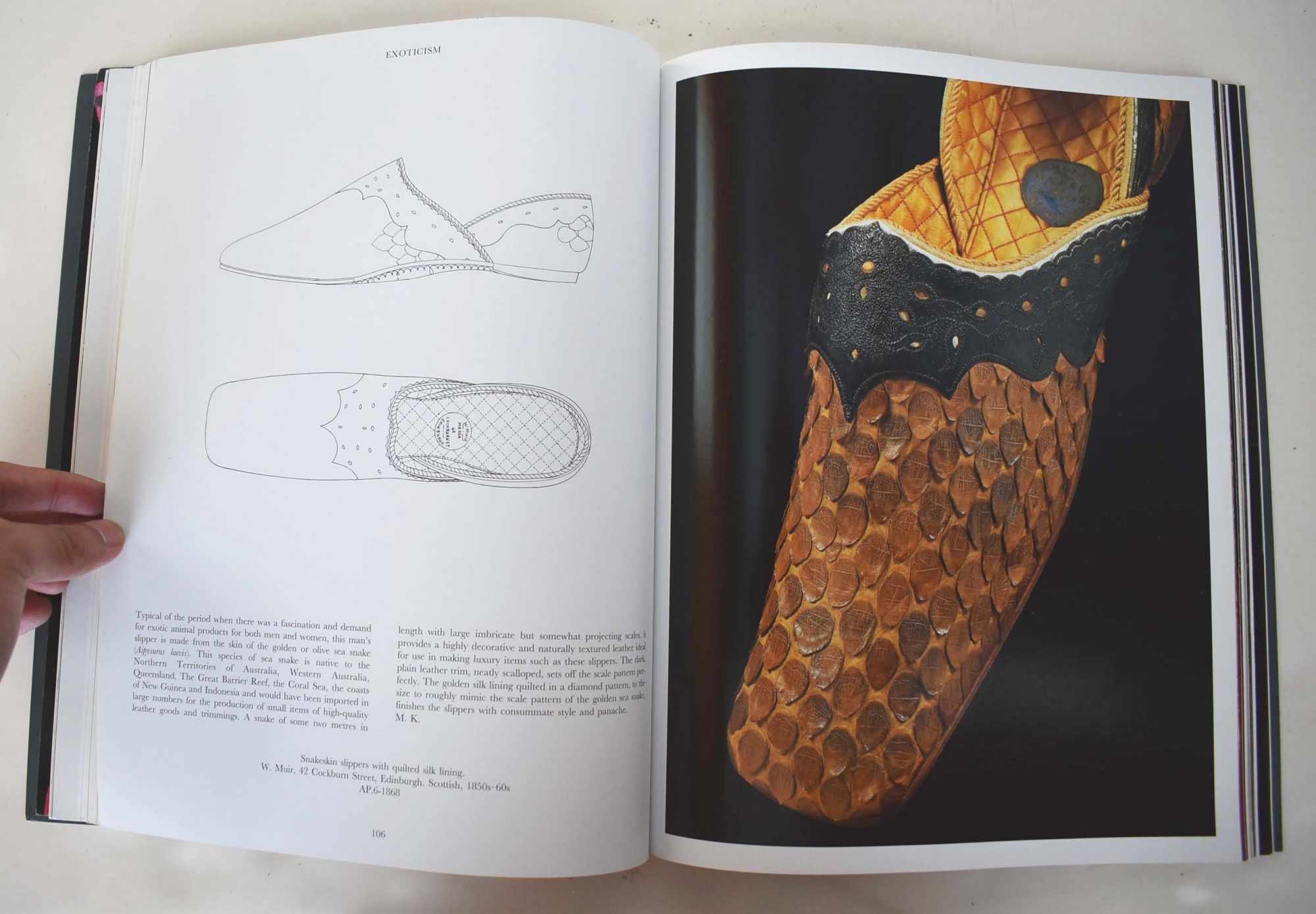 Nineteenth-Century Fashion in Detail | Lucy Johnston