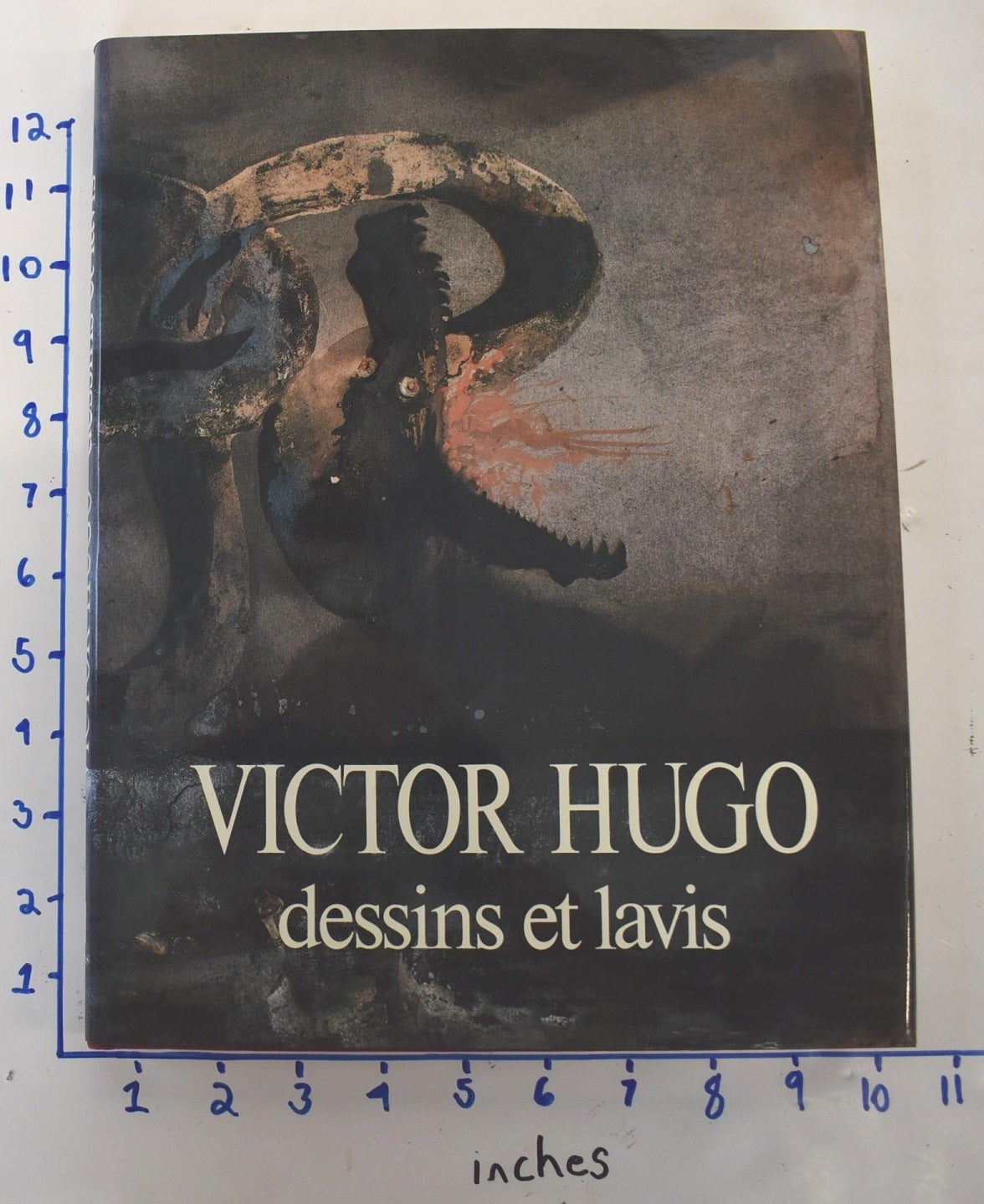 洋書 VICTOR HUGO dessins et lavis Victor Hugo: dessins et lavis | Jacqueline Lafargue