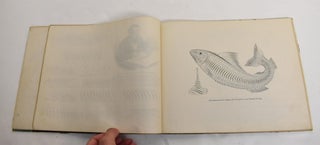 Real Penwork: Self-Instructor in Penmanship