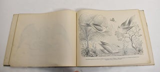 Real Penwork: Self-Instructor in Penmanship