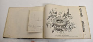 Real Penwork: Self-Instructor in Penmanship