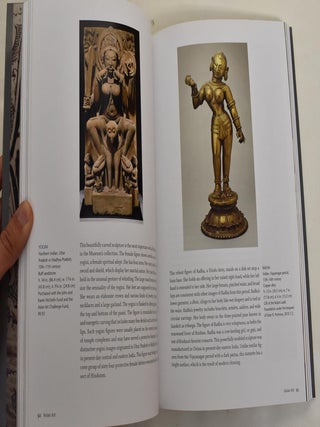 The San Antonio Museum of Art: Guide to the Collection