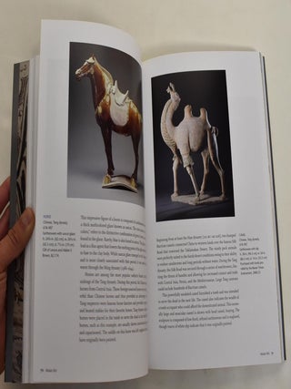 The San Antonio Museum of Art: Guide to the Collection