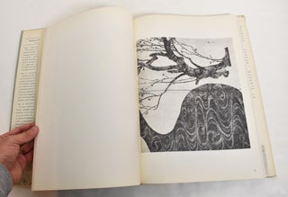 Pageant of Japanese Artists: Vol. II, Painting 2