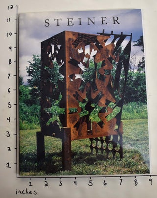 Item #164429 Michael Steiner: Sculpture, 1988-1999. Karen Wilkin, David Finn