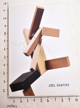 Item #164655 Joel Shapiro: Work in Wood, Plaster and Bronze 2001-2005. Steven A. Nash